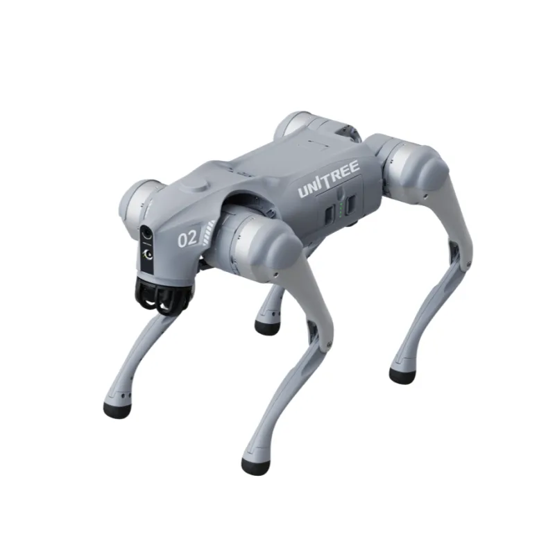 Go2 Robot for development